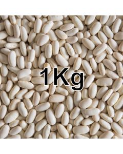 CANNELINI (ALUBIA)BEANS 1KG
