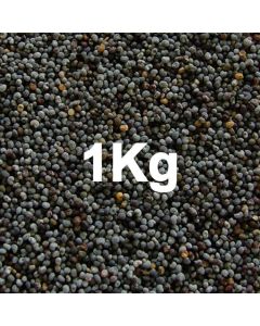 POPPY SEED BLUE  1KG