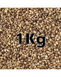 HEMP SEED ORG  1KG