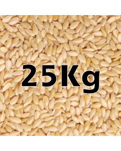 SESAME SEEDS ORG 25KG