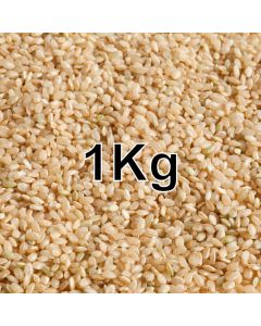 SHORT GRAIN BROWN RICE KG