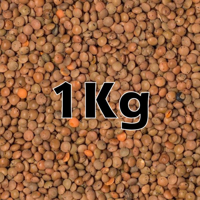 BROWN LENTILS ORG. 1KG