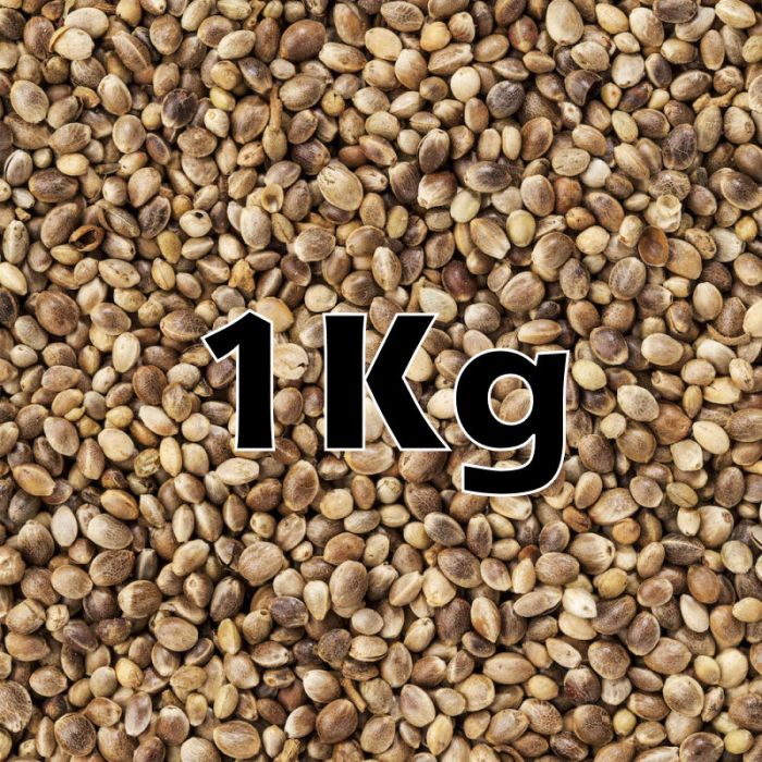 HEMP SEED ORG  1KG