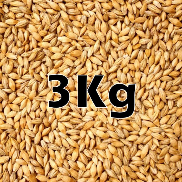 WHEAT GRAIN 3KG ORG.